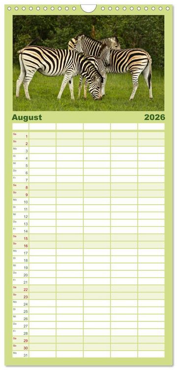 Produktbild: Familienplaner 2026 - Zebras - Faszination der Wildnis mit 5 Spalten (Wandkalender, 21 x 45 cm) CALVENDO