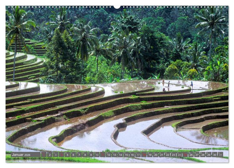 Produktbild: Peter Fischer - Bali 2026 (hochwertiger Premium Wandkalender 2026 DIN A2 quer), Kunstdruck in Hochglanz