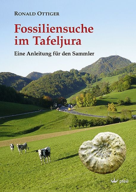 Produktbild: Fossiliensuche im Tafeljura