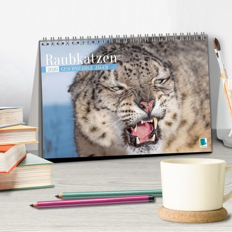 Produktbild: Raubkatzen: Geschmeidige J&auml;ger (Tischkalender 2026 DIN A5 quer), CALVENDO Monatskalender