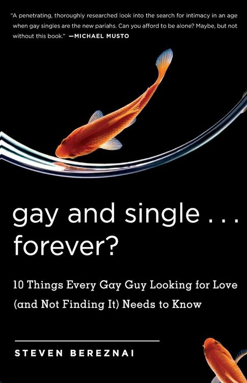 Produktbild: Gay and Single ... Forever?