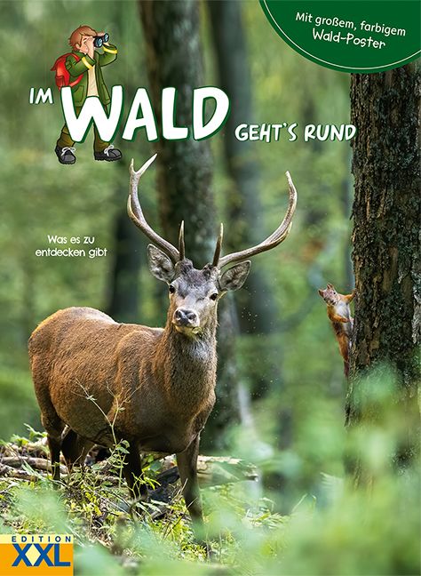 Produktbild: Im Wald geht's rund - mit gro&szlig;em, farbigem Poster