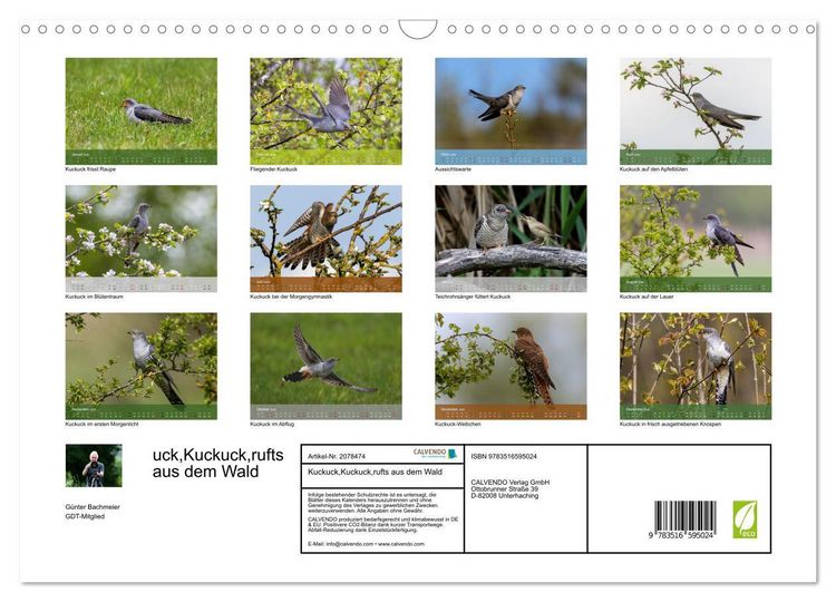 Produktbild: Kuckuck,Kuckuck,rufts aus dem Wald (Wandkalender 2026 DIN A3 quer), CALVENDO Monatskalender