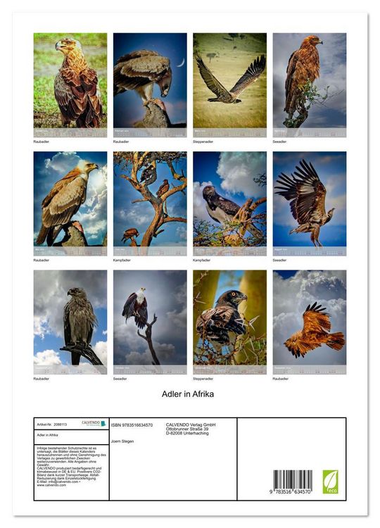 Produktbild: Adler in Afrika (hochwertiger Premium Wandkalender 2026 DIN A2 hoch), Kunstdruck in Hochglanz