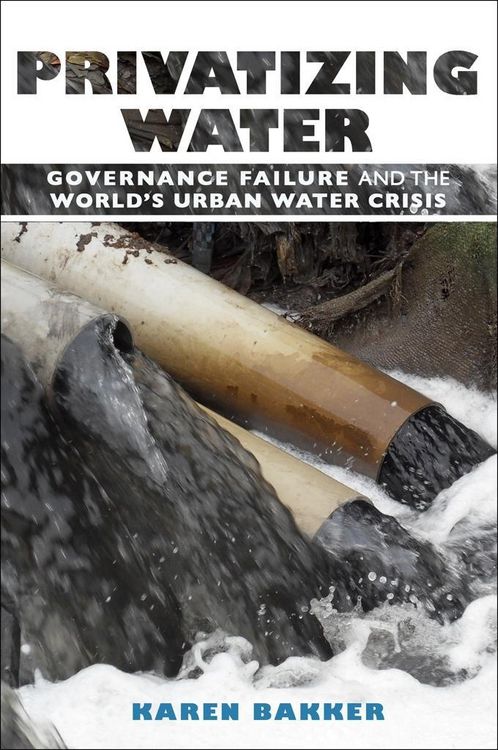 Produktbild: Privatizing Water
