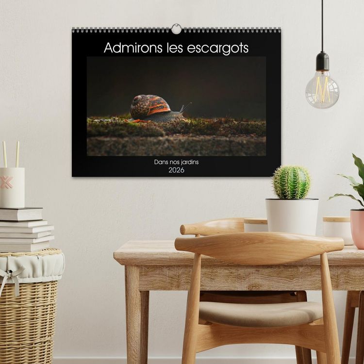 Produktbild: Admirons les escargots (Calendrier mural 2026 DIN A3 vertical), CALVENDO calendrier mensuel