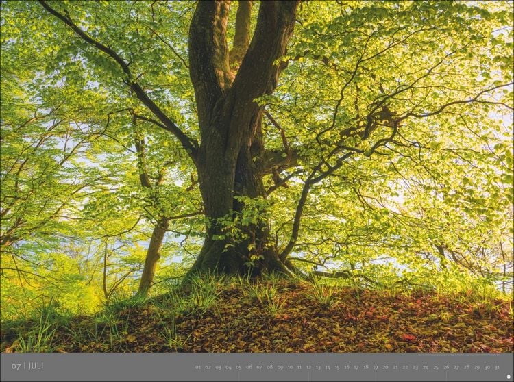 Produktbild: Deutsche Nationalparks - Edition Alexander von Humboldt Kalender 2026