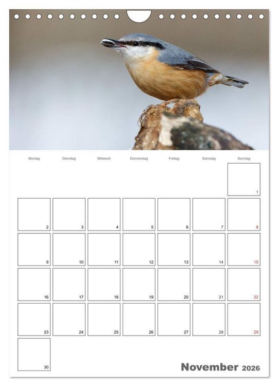 Produktbild: V&ouml;gel im heimischen Garten (Wandkalender 2026 DIN A4 hoch), CALVENDO Monatskalender