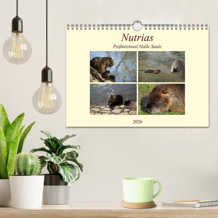 Produktbild: Nutrias Pei&szlig;nitzinsel Halle Saale (Wandkalender 2026 DIN A4 quer), CALVENDO Monatskalender
