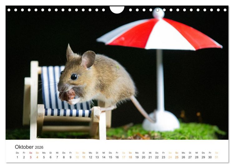 Produktbild: Geheimes Waldleben (Wandkalender 2026 DIN A4 quer), CALVENDO Monatskalender