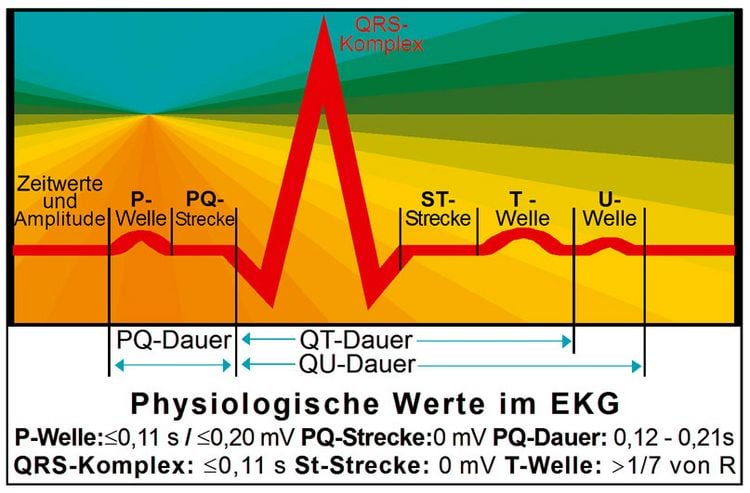 Produktbild: EKG Lineal professional II