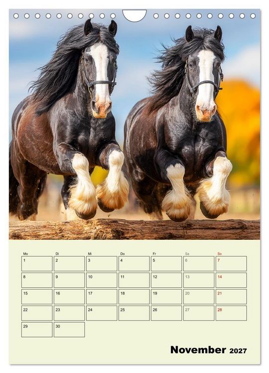 Produktbild: Shire Horse Magie. Englands sanfte Giganten (Wandkalender 2027 DIN A4 hoch), CALVENDO Monatskalender