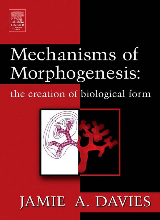 Produktbild: Mechanisms of Morphogenesis