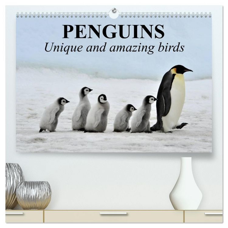 Produktbild: Penguins Unique and amazing birds (High Quality Premium Wall Calendar 2026 DIN A2 landscape),CALVENDO 12 Month Wall Calendar