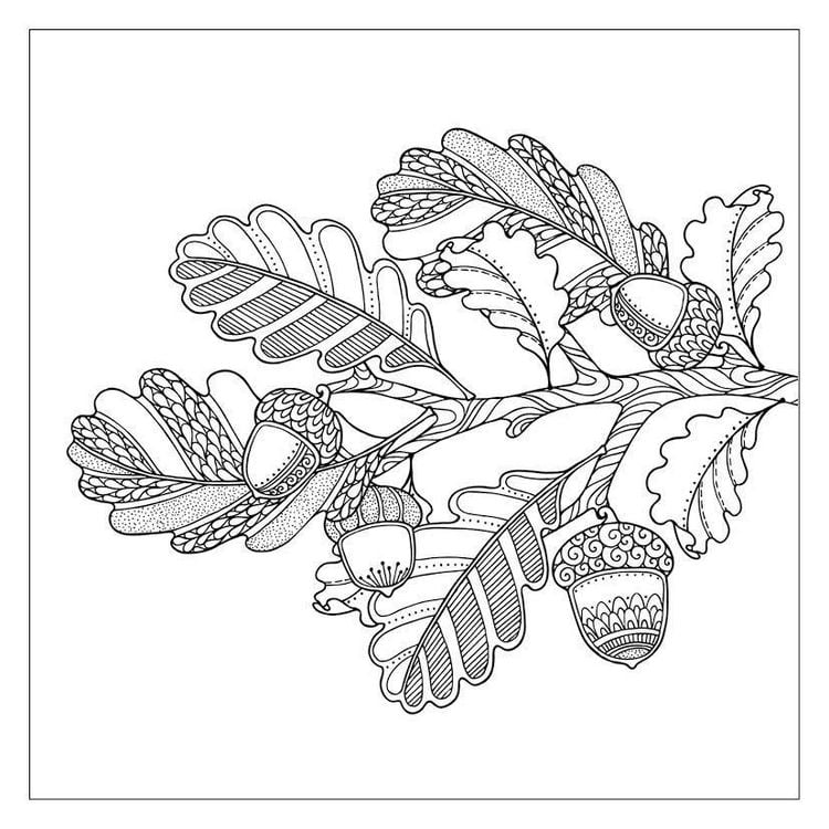 Produktbild: 333 Ausmalen &ndash; Herbst-Gef&uuml;hle