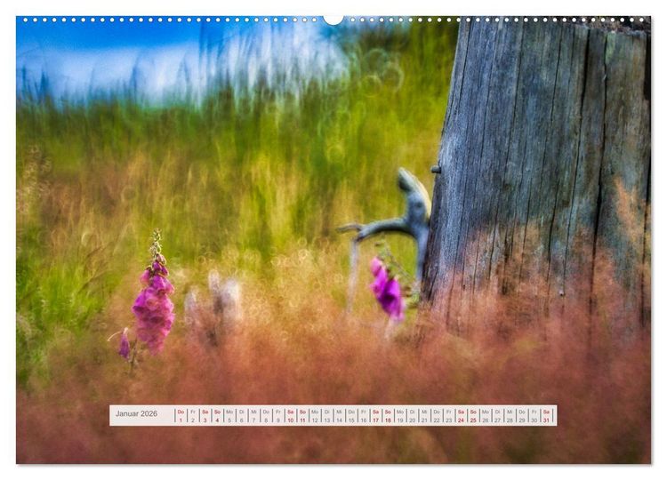 Produktbild: Traumhafte Waldstimmung am Rennsteig im Th&uuml;ringer Wald (hochwertiger Premium Wandkalender 2026 DIN A2 quer), Kunstdruck in Hochglanz