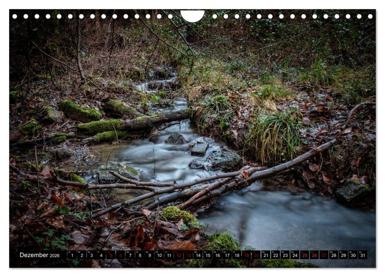Produktbild: Wege des einfachen Gl&uuml;cks - Spazierg&auml;nge im Wald (Wandkalender 2026 DIN A4 quer), CALVENDO Monatskalender