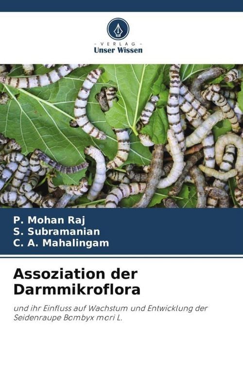 Produktbild: Assoziation der Darmmikroflora