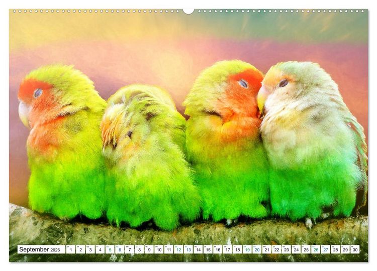 Produktbild: Farbenfestival der Tiere - Artwork (Wandkalender 2026 DIN A2 quer), CALVENDO Monatskalender