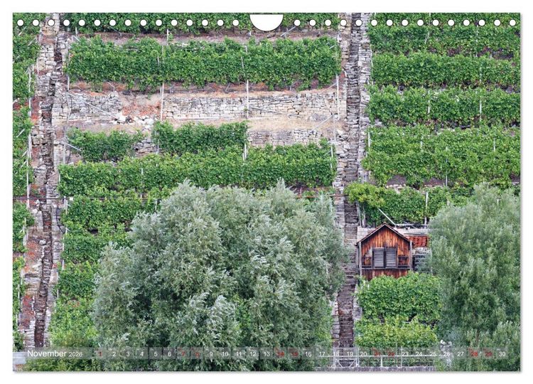 Produktbild: Weinbergh&auml;uschen - Schutz- und Werkzeughaus f&uuml;r den Weing&auml;rtner (Wandkalender 2026 DIN A4 quer), CALVENDO Monatskalender