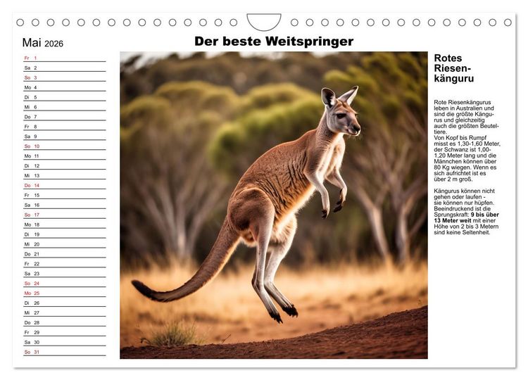 Produktbild: Tierische Rekorde (Wandkalender 2026 DIN A4 quer), CALVENDO Monatskalender