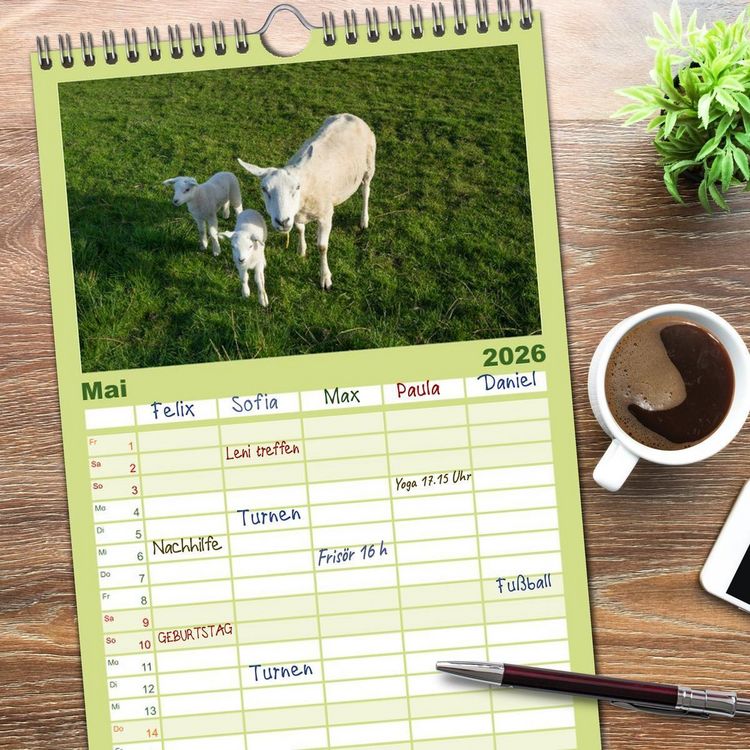 Produktbild: Familienplaner 2026 - Ameland Wundersch&ouml;ne Insel mit 5 Spalten (Wandkalender, 21 x 45 cm) CALVENDO
