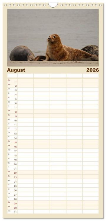 Produktbild: Familienplaner 2026 - Helgoland und die D&uuml;ne mit 5 Spalten (Wandkalender, 21 x 45 cm) CALVENDO