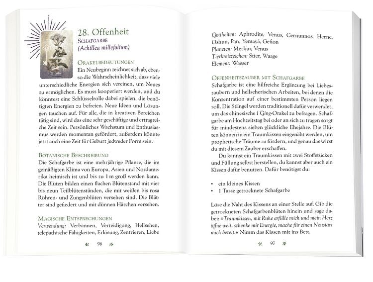 Produktbild: Das magische Orakel der Heilpflanzen