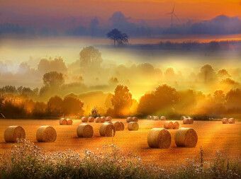 Produktbild: Strohballen auf dem Feld (Puzzle)