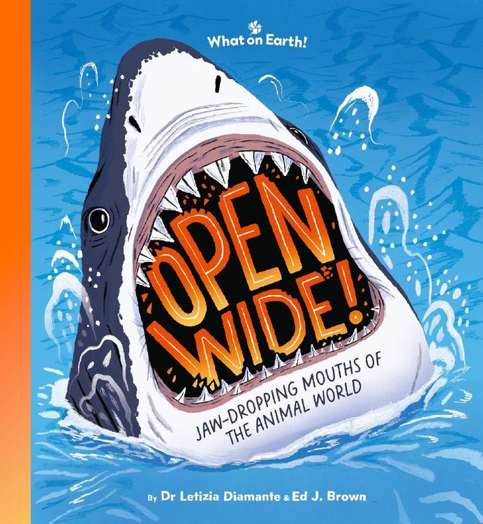 Produktbild: Open Wide!