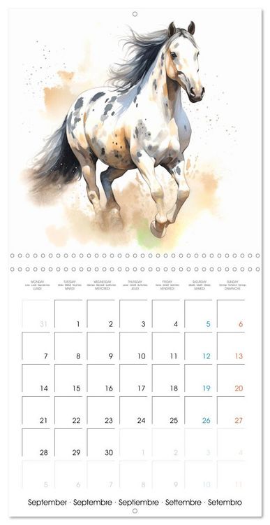 Produktbild: &Eacute;l&eacute;gance &eacute;quine (Calendrier mural carr&eacute; 2026 30x30 cm) Calendrier double avec une page pour vos prises de notes