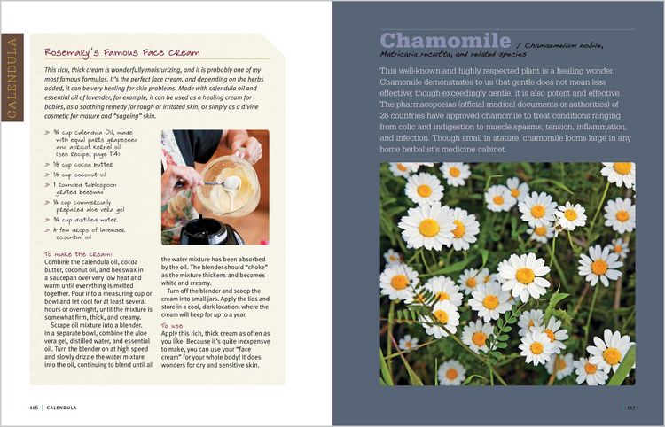 Produktbild: Rosemary Gladstar's Medicinal Herbs: A Beginner's Guide