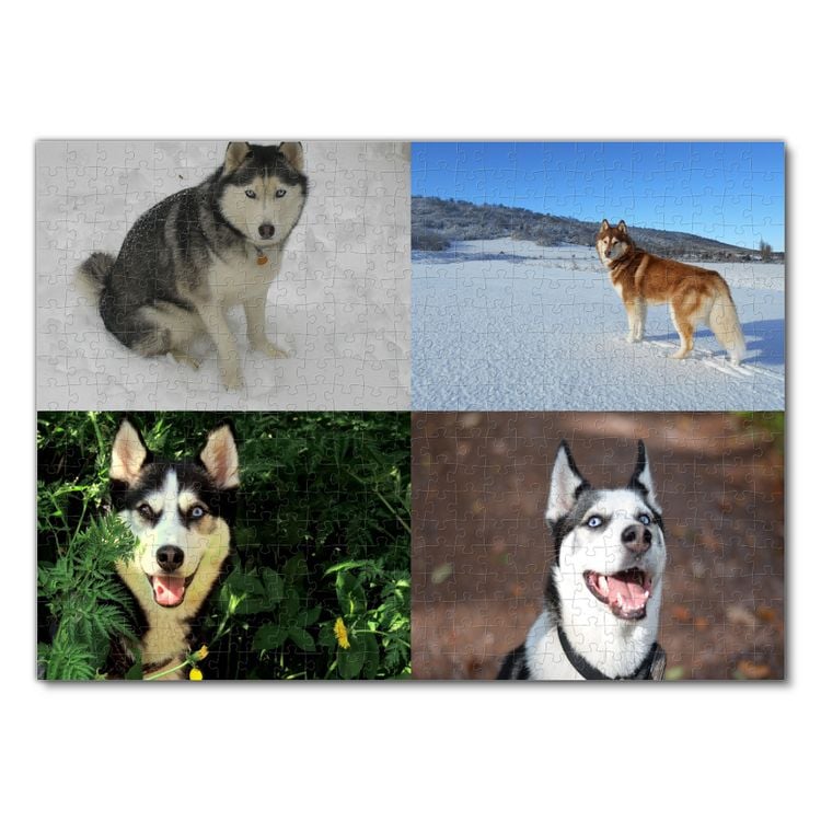 Produktbild: Lais Puzzle Collage Husky 500 Teile