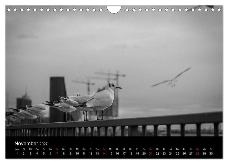Produktbild: Mein Hamburg (Wandkalender 2027 DIN A4 quer), CALVENDO Monatskalender