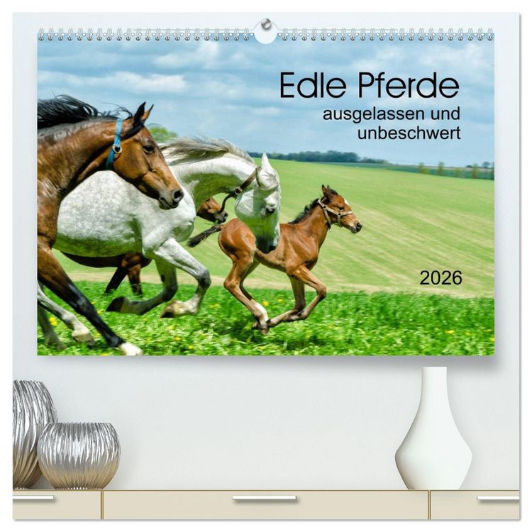 Produktbild: Edle Pferde - ausgelassen und unbeschwert (hochwertiger Premium Wandkalender 2026 DIN A2 quer), Kunstdruck in Hochglanz