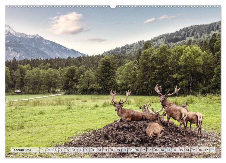 Produktbild: &Ouml;sterreich Berg und See (hochwertiger Premium Wandkalender 2026 DIN A2 quer), Kunstdruck in Hochglanz