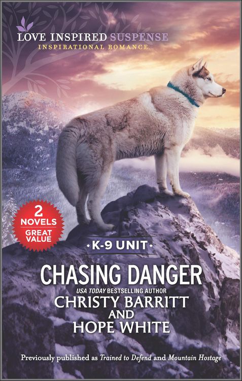Produktbild: Chasing Danger