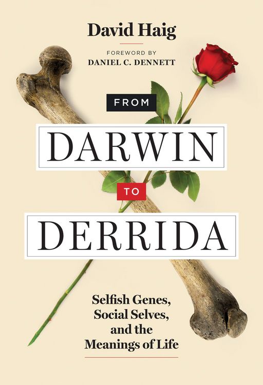Produktbild: From Darwin to Derrida