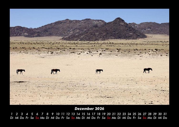Produktbild: Pferdegefl&uuml;ster 2026 Fotokalender DIN A3