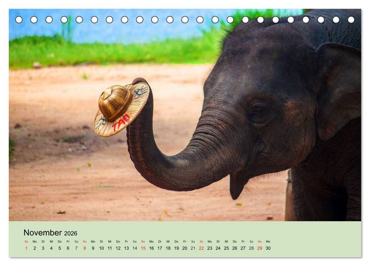 Produktbild: Elefanten. Badespa&szlig; am Strand (Tischkalender 2026 DIN A5 quer), CALVENDO Monatskalender