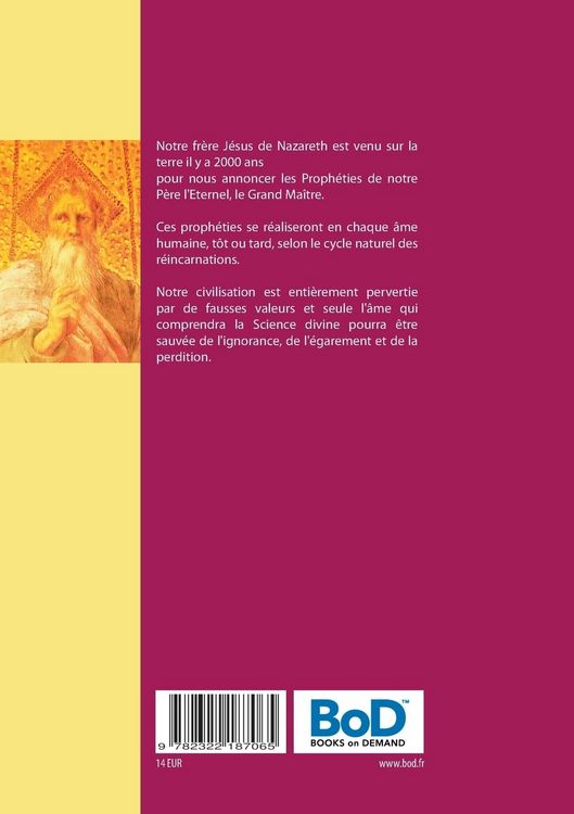 Produktbild: Les proph&eacute;ties de J&eacute;sus de Nazareth