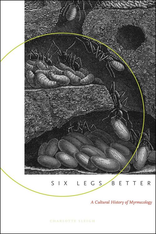 Produktbild: Six Legs Better