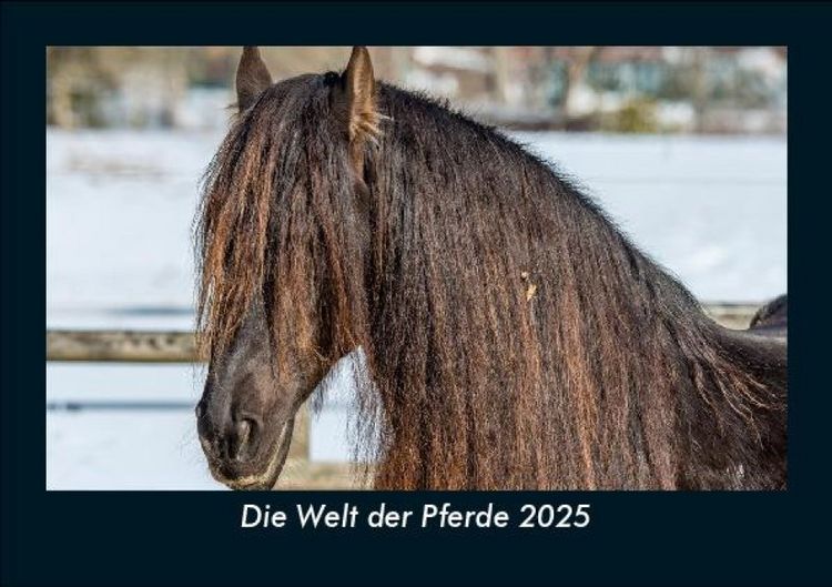 Produktbild: Die Welt der Pferde 2025 Fotokalender DIN A5