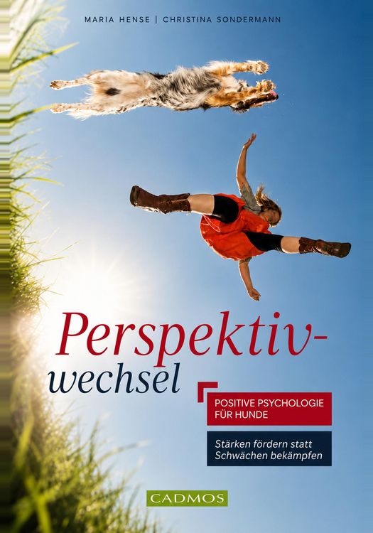 Produktbild: Perspektivwechsel