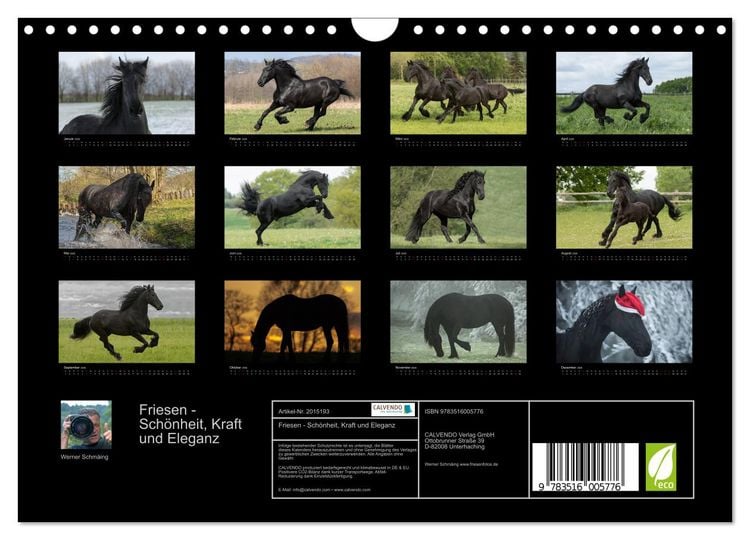 Produktbild: Friesen - Sch&ouml;nheit, Kraft und Eleganz (Wandkalender 2026 DIN A4 quer), CALVENDO Monatskalender