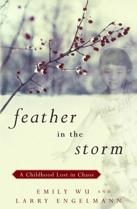 Produktbild: Feather in the Storm: A Childhood Lost in Chaos