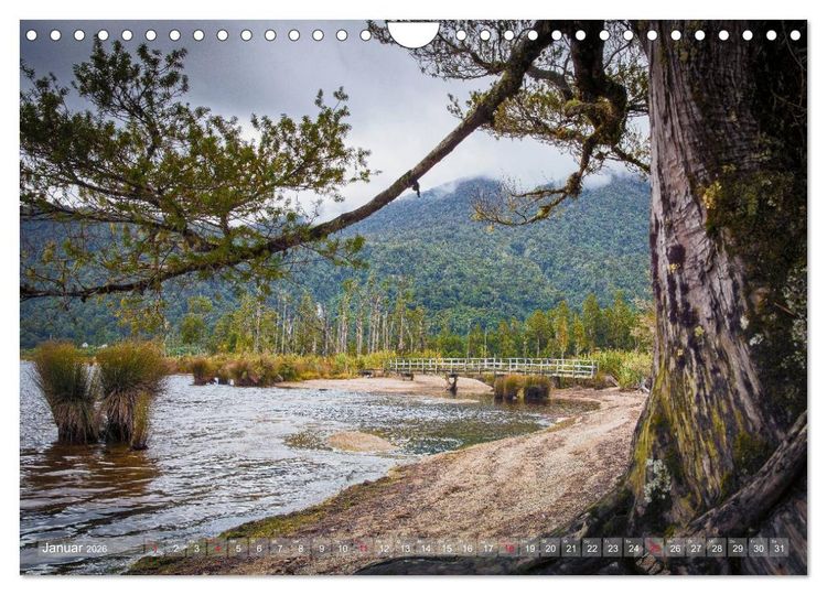 Produktbild: Traumhafte Wege - Unterwegs auf Neuseelands S&uuml;dinsel (Wandkalender 2026 DIN A4 quer), CALVENDO Monatskalender