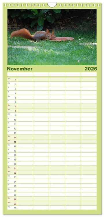 Produktbild: Familienplaner 2026 - Spa&szlig; mit Eichh&ouml;rnchen-Kindern mit 5 Spalten (Wandkalender, 21 x 45 cm) CALVENDO