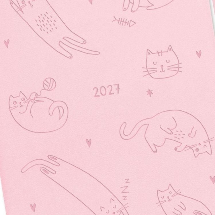 Produktbild: Terminplaner Lederlook 2027 Rosa