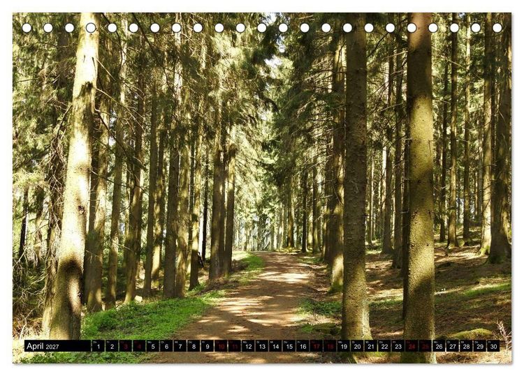Produktbild: Naturwunder Wald (Tischkalender 2027 DIN A5 quer), CALVENDO Monatskalender